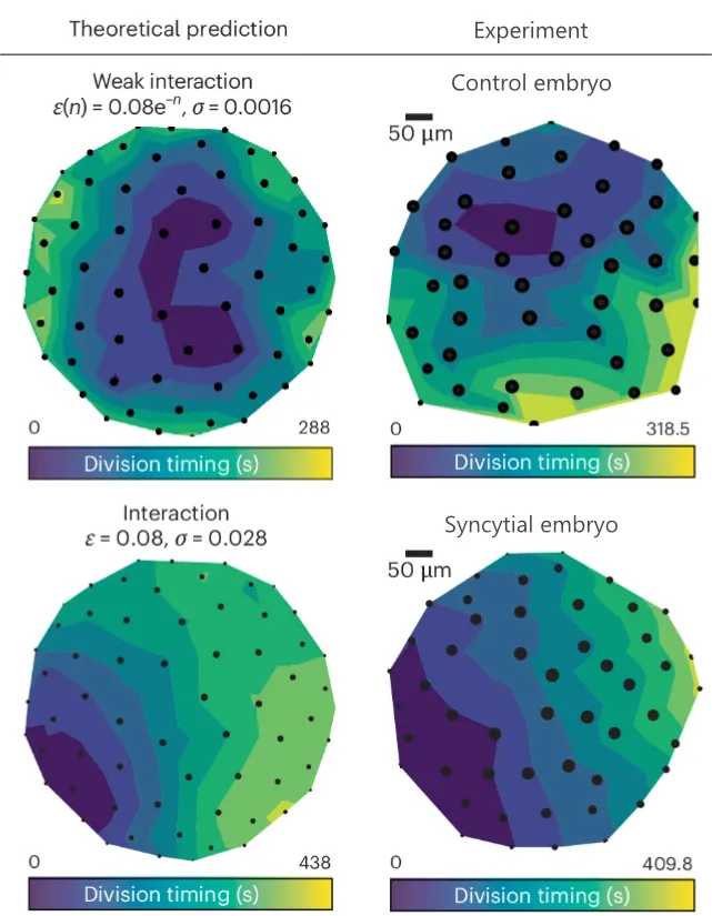 theory_v_experiments